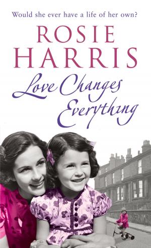 bigCover of the book Love Changes Everything by 
