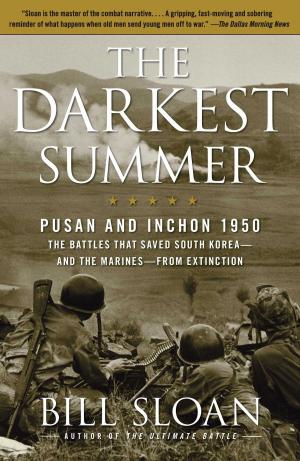 Book cover of The Darkest Summer