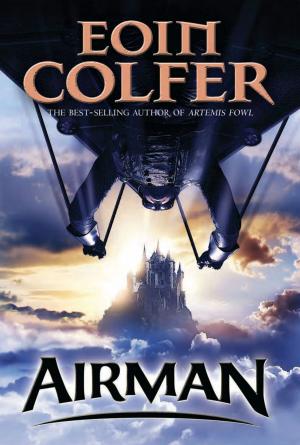 Cover of the book Airman by Robin Mellom