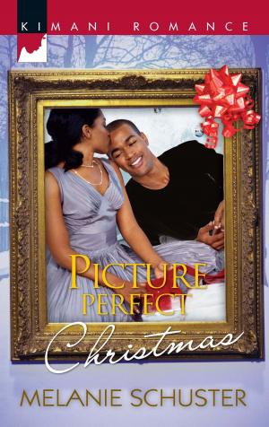 Cover of the book Picture Perfect Christmas by Katie Meyer