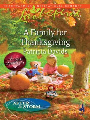 Cover of the book A Family for Thanksgiving by Victoria Bylin