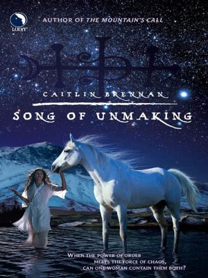 Book cover of Song of Unmaking