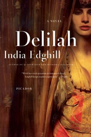 Cover of the book Delilah by Glenn Rolnick