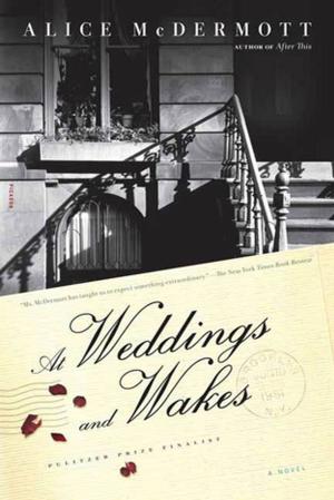 bigCover of the book At Weddings and Wakes by 