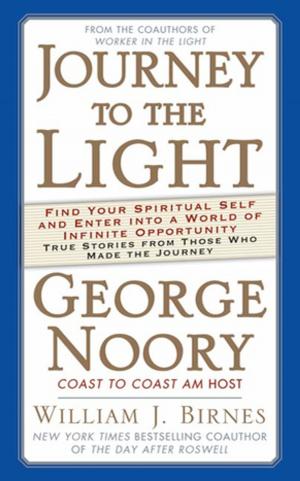 Cover of the book Journey to the Light by Richard Parks