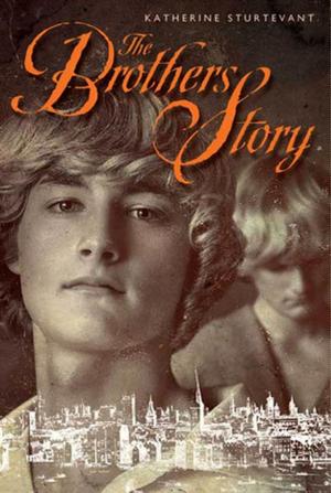 Cover of the book The Brothers Story by Carole Gerber