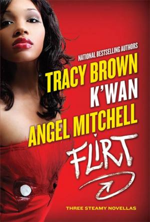 Cover of the book Flirt by Sara Fawkes