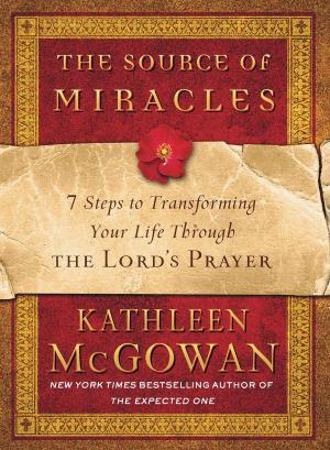 Cover of the book The Source of Miracles by Carol Rainey, Budd Hopkins