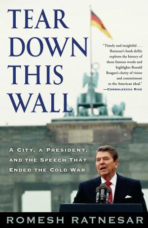 Cover of the book Tear Down This Wall by David Roberts