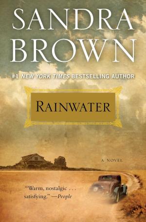 Cover of the book Rainwater by Dr. Bob Rotella, Bob Cullen