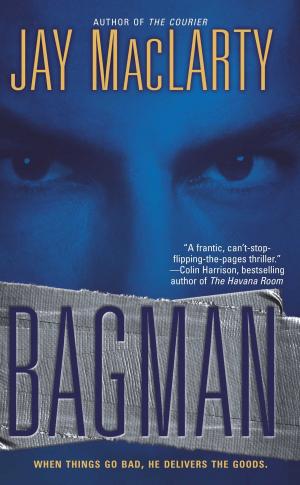 Cover of the book Bagman by Johanna Lindsey