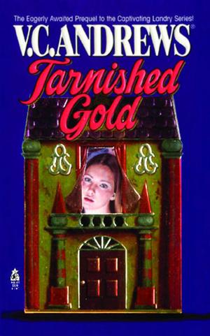 Cover of the book Tarnished Gold by Steven H. Scheuer, Alida Brill-Scheuer