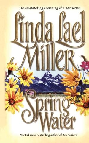 Cover of the book Springwater by Alex Minter