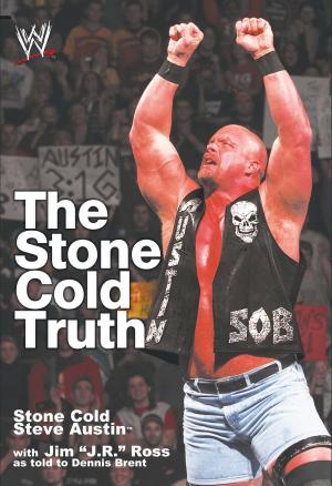 Cover of the book The Stone Cold Truth by Rudy Josephs