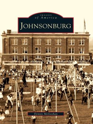 Cover of the book Johnsonburg by William C. Brunner