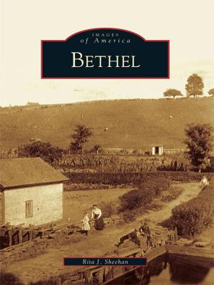 Cover of the book Bethel by Kristina Torkelson Gray