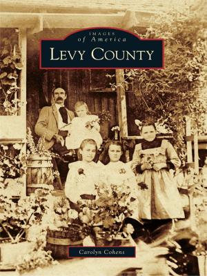 bigCover of the book Levy County by 