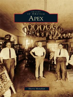 Cover of the book Apex by T.W. Barritt