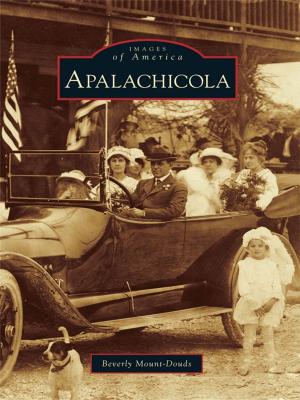Cover of the book Apalachicola by Rita Cook