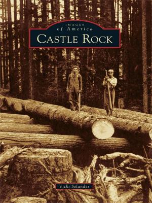 Cover of the book Castle Rock by Jennifer W. Dickey