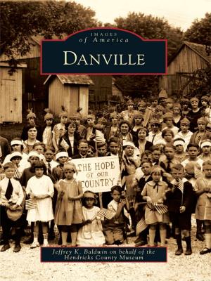 Cover of the book Danville by Rosary O'Neill