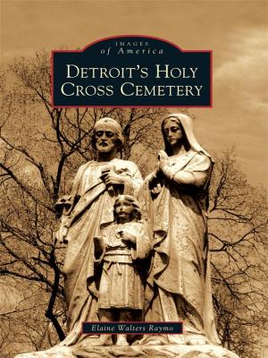 Cover of the book Detroit's Holy Cross Cemetery by John T. Hastings, Warrensburgh Historical Society