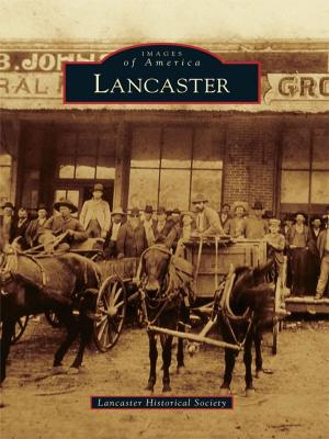 Cover of the book Lancaster by Patrick Tierney Wild