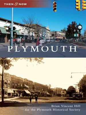 Cover of the book Plymouth by Jim Ridings