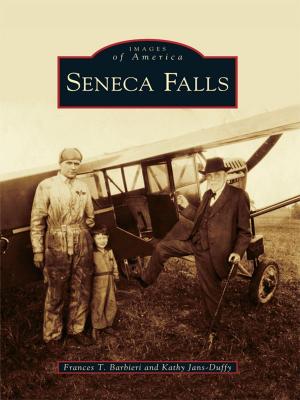 Cover of the book Seneca Falls by Stephanie Hoover