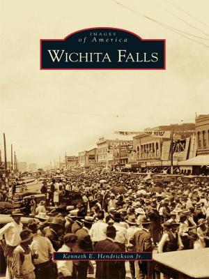 Book cover of Wichita Falls