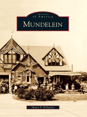 Cover of the book Mundelein by Christina B. Nolan