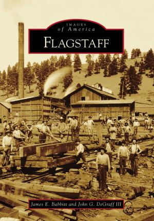 Cover of the book Flagstaff by Alvin F. Oickle