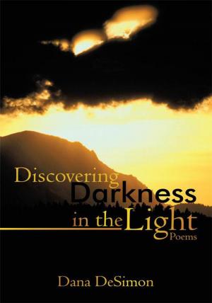 bigCover of the book Discovering Darkness in the Light by 