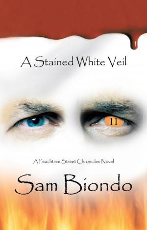 Cover of the book A Stained White Veil by James Robb