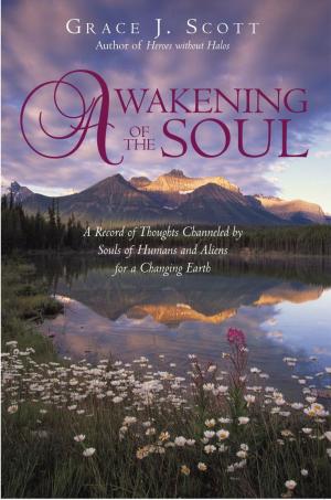 Cover of the book Awakening of the Soul by chakrapani srinivasa