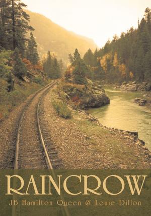 Book cover of Raincrow