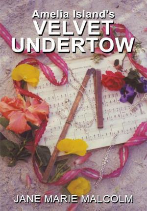 Cover of the book Amelia Island’S Velvet Undertow by V. Harris Todd