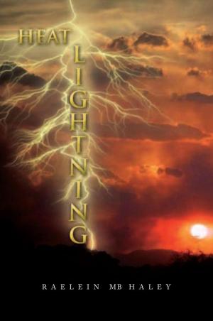 Cover of the book Heat Lightning by Amara Das Wilhelm