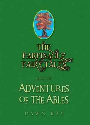 Book cover of The Farfinagle Fairy Tales