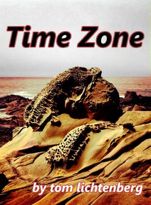 Cover of the book Time Zone by Lloyd Vancil