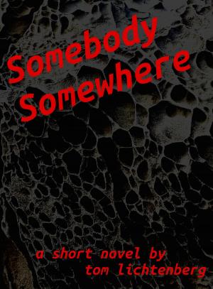 Cover of the book Somebody Somewhere by Philip van Wulven