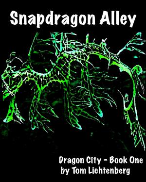 Cover of the book Snapdragon Alley by Tom Lichtenberg, John Lichtenberg