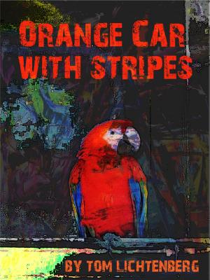Cover of Orange Car with Stripes