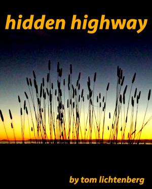 Cover of the book Hidden Highway by Tom Lichtenberg