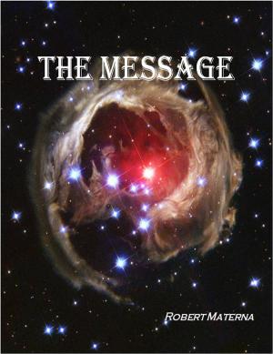 Cover of the book The Message by Nick Spill