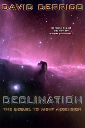 Cover of the book Declination by TOM E. WEIGHTMAN