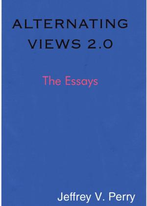 Cover of the book Alternating Views 2.0 by Larry Rich