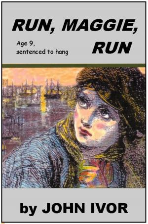 Cover of the book Run Maggie Run by JF Ridgley