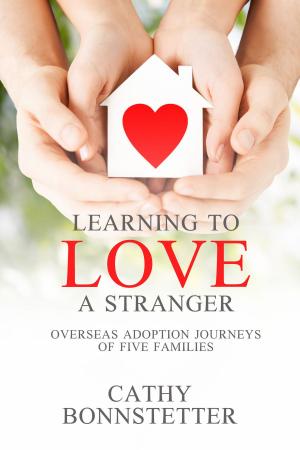 Cover of the book Learning to Love a Stranger by John M. Simmons