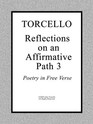 bigCover of the book Torcello: Reflections on an Affirmative Path 3 by 